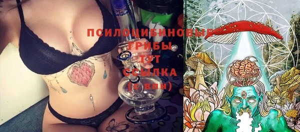 гидропоника Нязепетровск