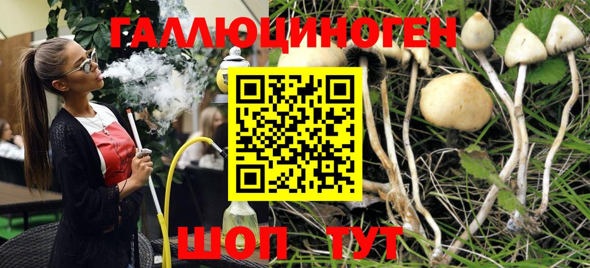 Канабис  Вейп ТГК  Alpha-PVP  Кокаин  Меф  Марихуана  НБОМе  Кирово-Чепецк  Гарик  Метадон  Вход с VPN 