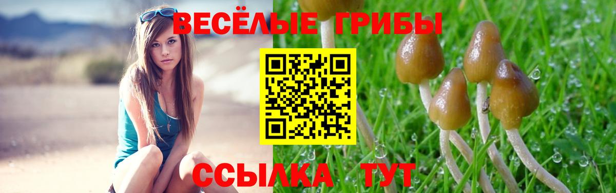 купить наркотик  Псилоцибиновые грибы Cubensis  Вход с VPN  Кирово-Чепецк 